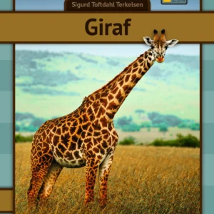 Giraf