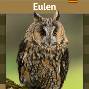 Eulen