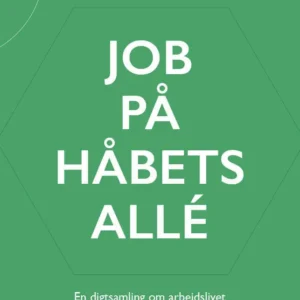Job på Håbets Allé