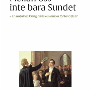 Mellan oss inte bara sundet : dansk-svenska litterära förbindelser