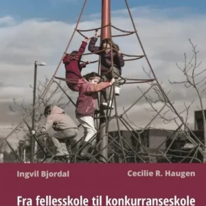 Fra fellesskole til konkurranseskole : markedsretting i grunnskolen - sentrale virkemidler og lokale erfaringer