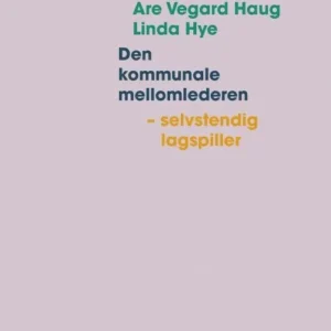 Den kommunale mellomlederen : selvstendig lagspiller