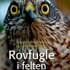 Rovfugle i felten