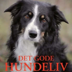 Det gode hundeliv