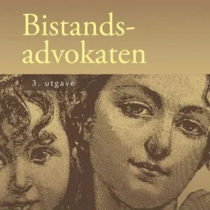 Bistandsadvokaten
