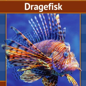 Dragefisk