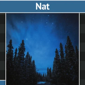 Nat