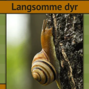 Langsomme dyr