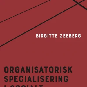Organisatorisk specialisering i socialt arbejde