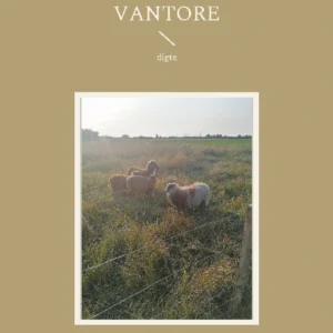 Vantore