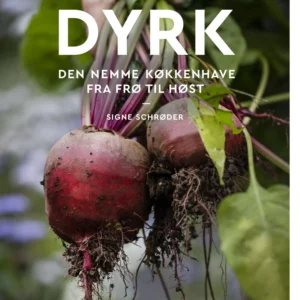 Dyrk