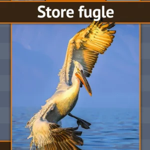 Store fugle