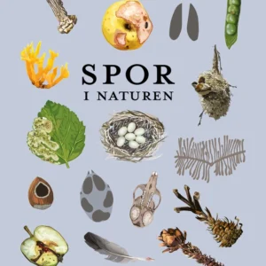 Spor i naturen