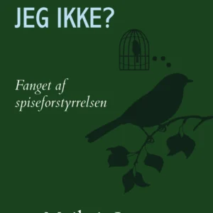 Hvorfor flyver jeg ikke?