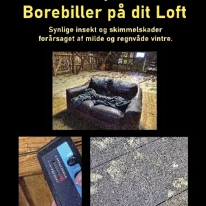 Bekæmpelse af Borebiller på dit Loft