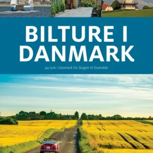 Bilture i Danmark