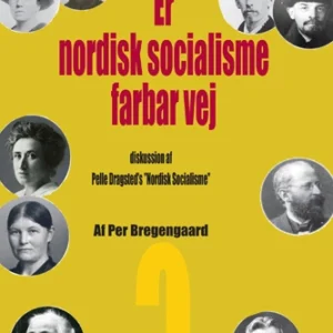 Er nordisk socialisme farbar vej