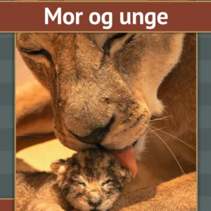 Mor og unge
