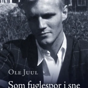Som fuglespor i sne