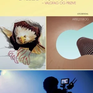 Billedkunst - valgfag og prøve