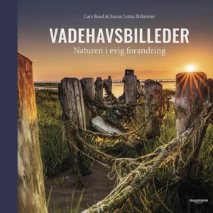 Vadehavsbilleder