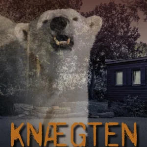 Knægten fra Kangaamiut