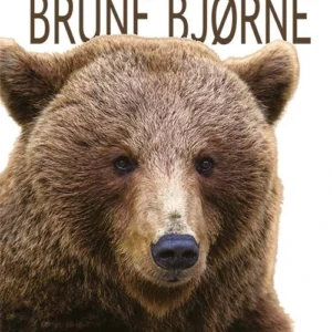 Brune bjørne