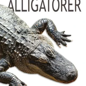 Alligatorer