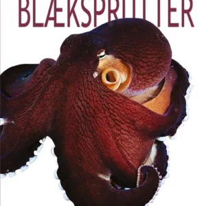 Blæksprutter
