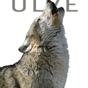 Ulve
