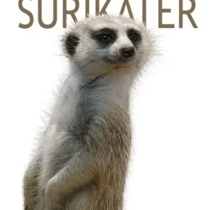 Surikater