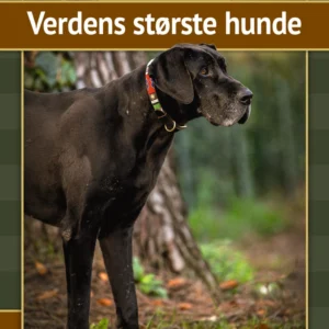 Verdens største hunde