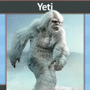 Yeti