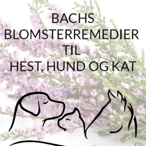 Bachs Blomsterremedier til hest, hund og kat