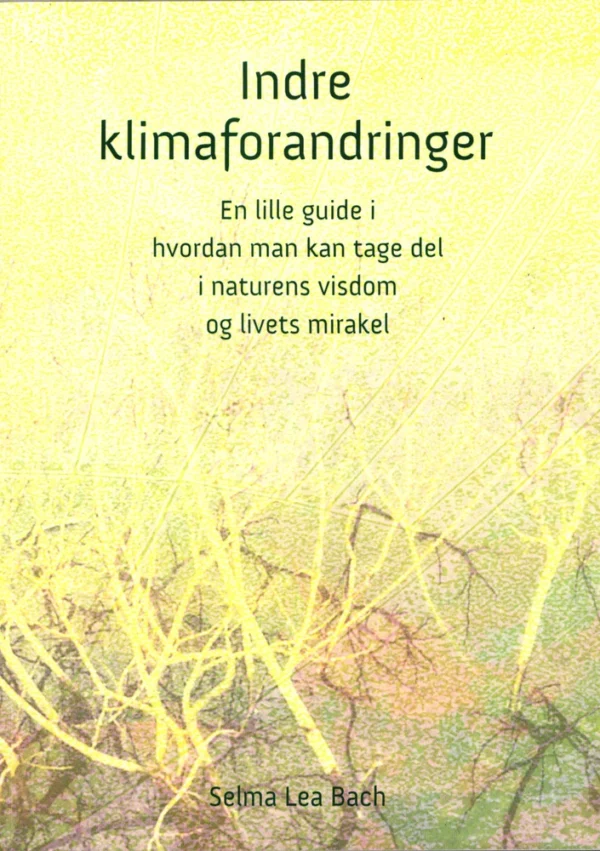 Indre Klimaforandringer
