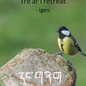 Tre år i retreat