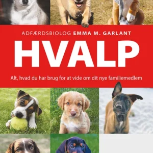 Hvalp