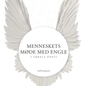 Menneskets møde med engle i Iqbals poesi