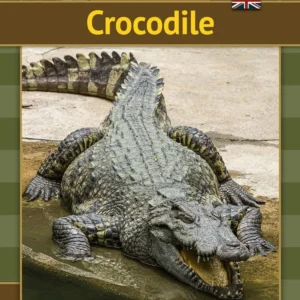Crocodile