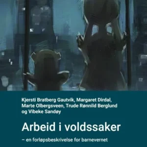 Arbeid i voldssaker : en forløpsbeskrivelse  for barnevernet