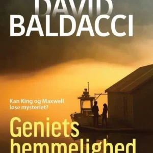 Geniets hemmelighed