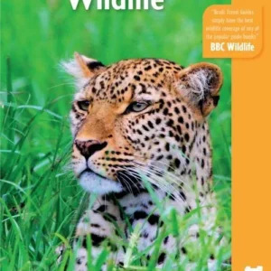 Southern African Wildlife