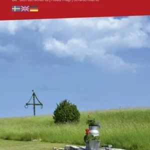 Norra Svealand / Södra Norrland : bil- och turistkarta - road map - StraÃenkarte