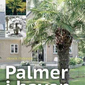 PALMER I HAVEN