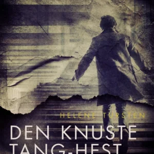 Den knuste Tang-hest