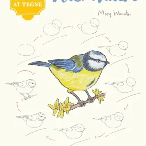 10 trin til at tegne vild natur