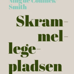 Skrammellegepladsen