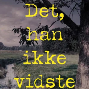 Det, han ikke vidste