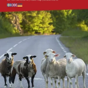 Ãstra Svealand : bil- och turistkarta - road map - StraÃenkarte