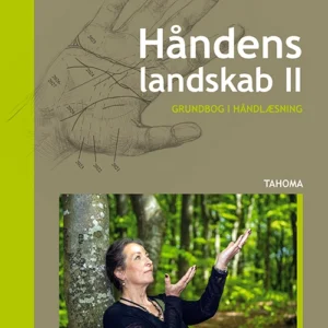 Håndens landskab II